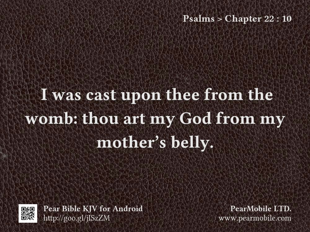 Psalms, Chapter 22:10
